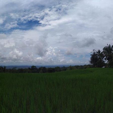 Tegal Jero Homestay Jatiluwih Dış mekan fotoğraf