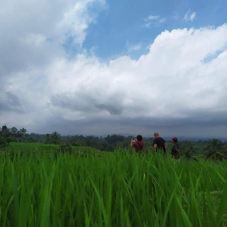 Tegal Jero Homestay Jatiluwih Dış mekan fotoğraf