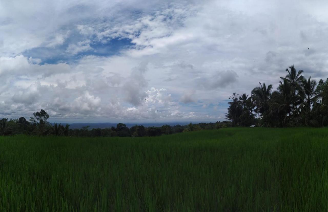 Tegal Jero Homestay Jatiluwih Dış mekan fotoğraf