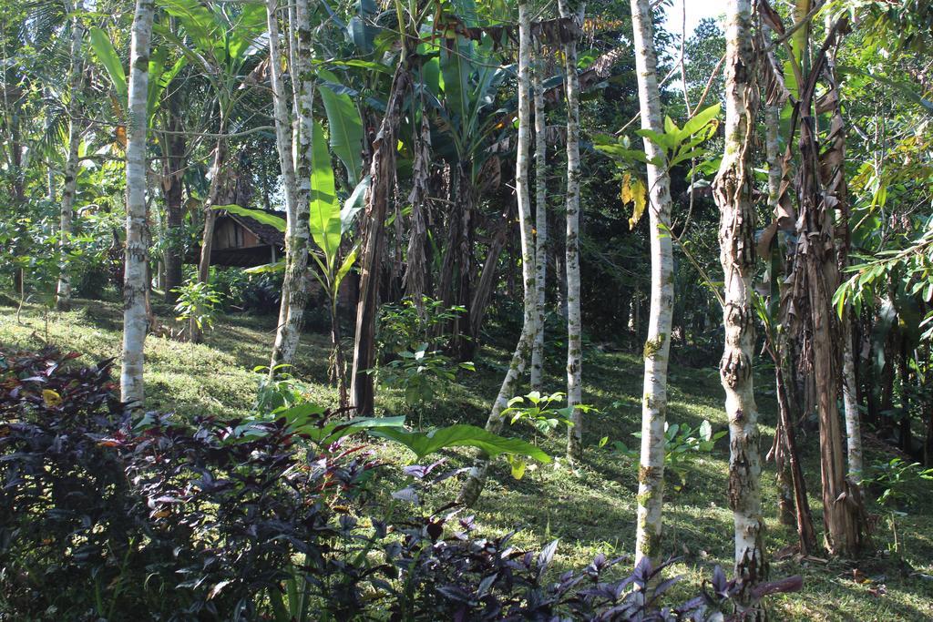 Tegal Jero Homestay Jatiluwih Dış mekan fotoğraf