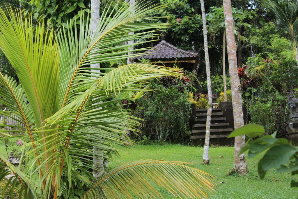 Tegal Jero Homestay Jatiluwih Dış mekan fotoğraf