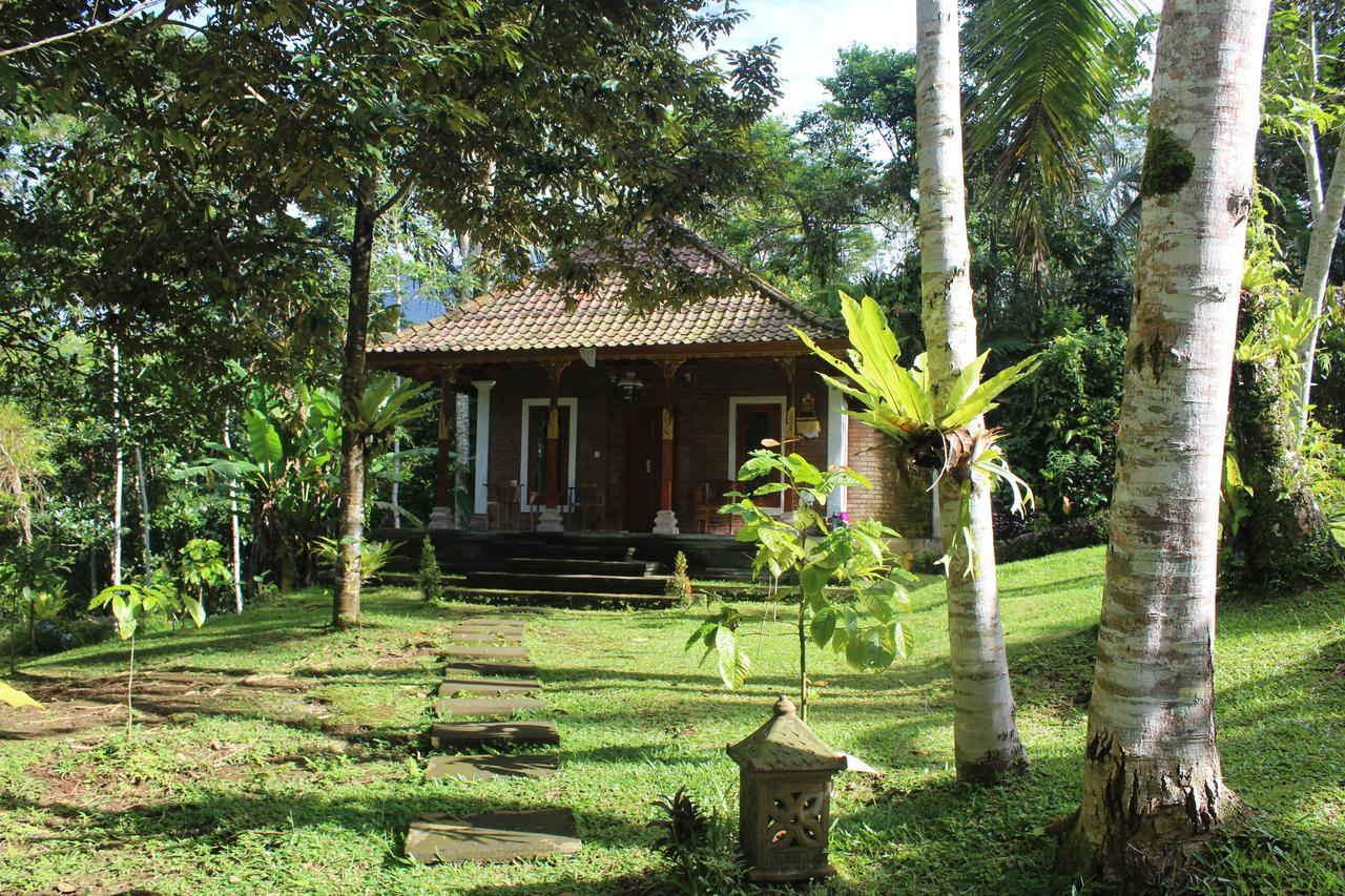 Tegal Jero Homestay Jatiluwih Dış mekan fotoğraf