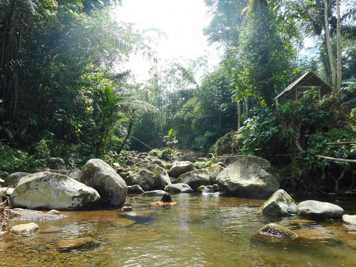 Tegal Jero Homestay Jatiluwih Dış mekan fotoğraf