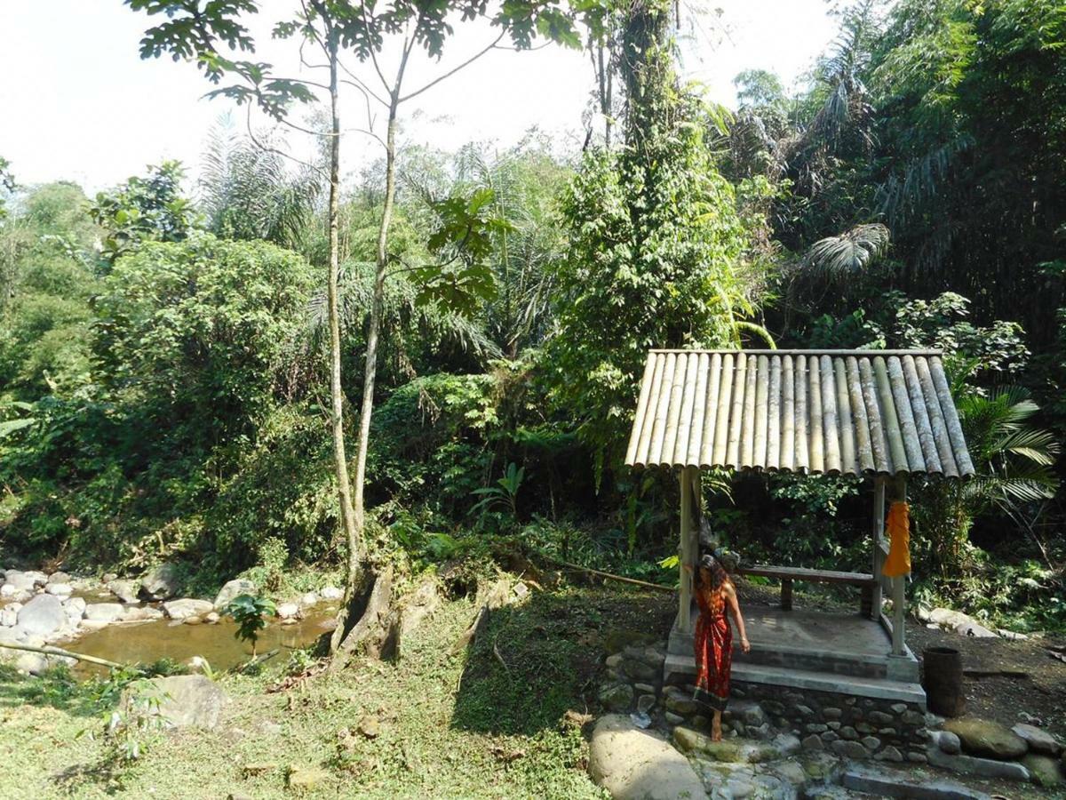 Tegal Jero Homestay Jatiluwih Dış mekan fotoğraf