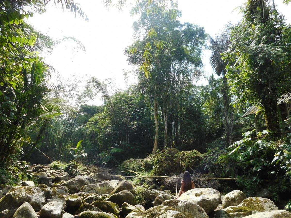 Tegal Jero Homestay Jatiluwih Dış mekan fotoğraf