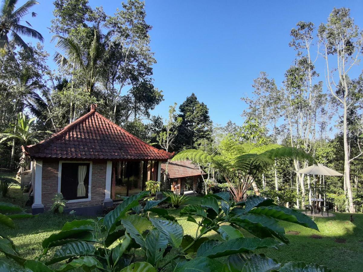 Tegal Jero Homestay Jatiluwih Dış mekan fotoğraf